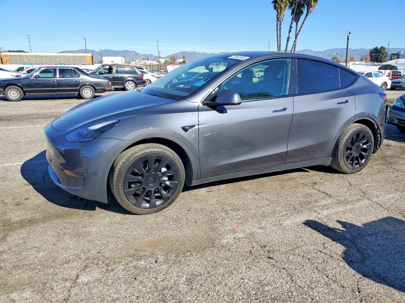 2023 TESLA MODEL Y — VIN 7SAYGDED3PF962504