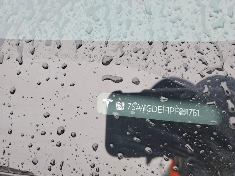 7SAYGDEF1PF811761