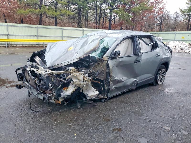 2025 GMC TERRAIN EL — VIN 3GKALUEG0SL315593