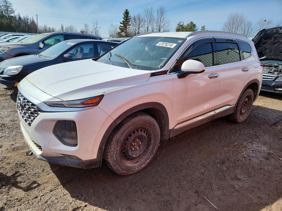 2019 HYUNDAI SANTA FE — VIN 5NMS2CAD5KH087550