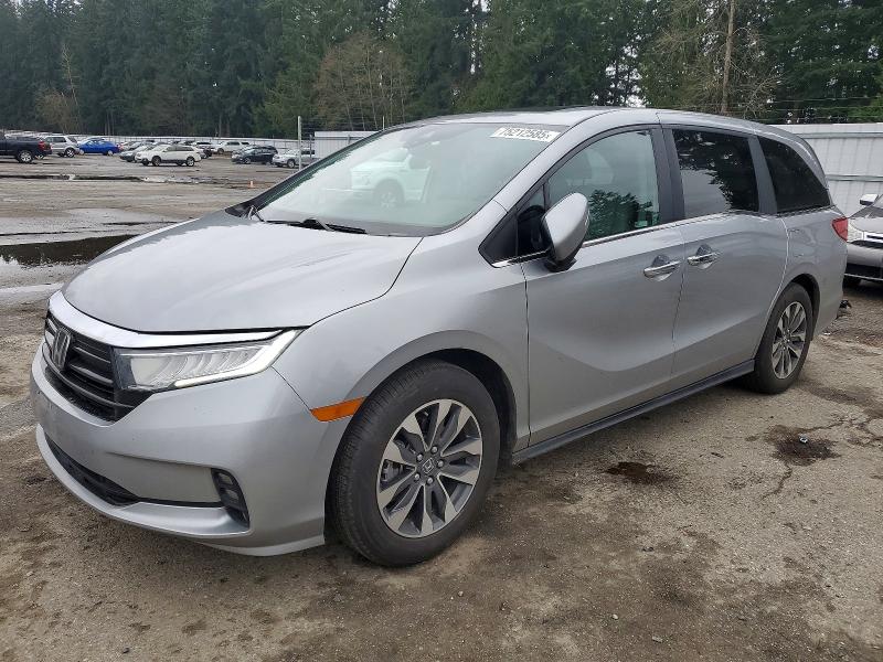 2024 HONDA ODYSSEY — VIN 5FNRL6H6XRB052664