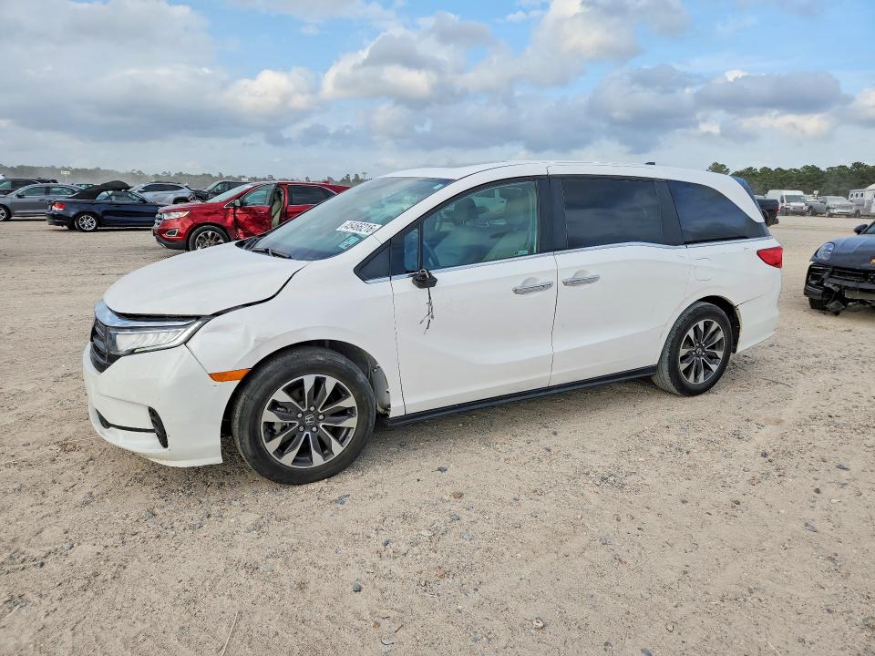 2024 HONDA ODYSSEY — VIN 5FNRL6H61RB024817