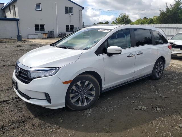 2023 HONDA ODYSSEY — VIN 5FNRL6H64PB008205