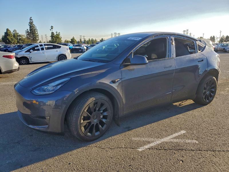 2022 TESLA MODEL Y — VIN 7SAYGDEE0NF356826