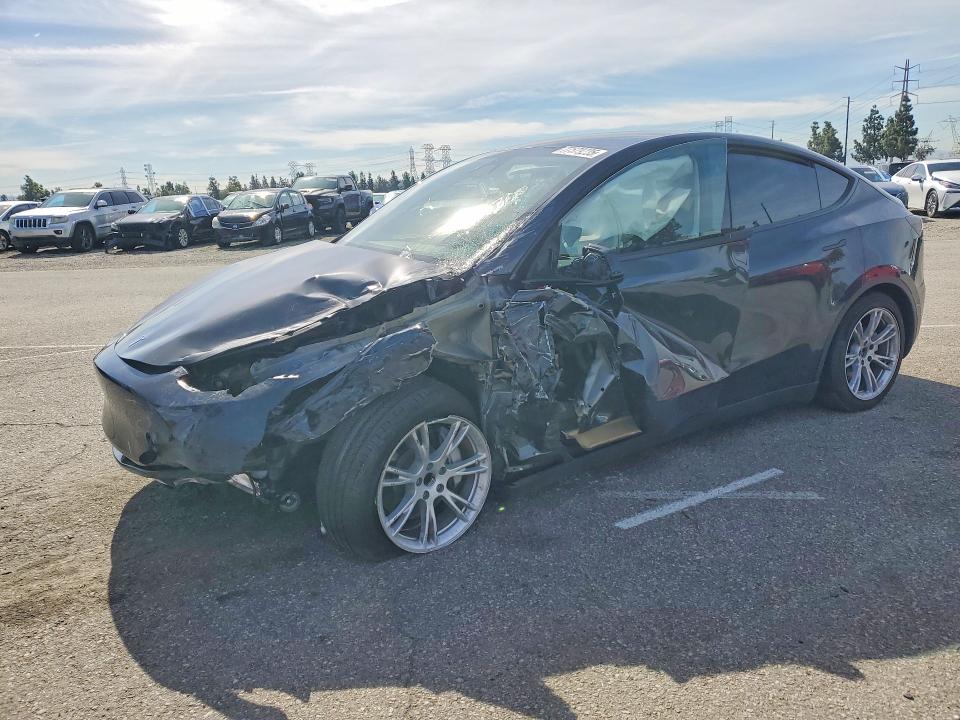 2024 TESLA MODEL Y — VIN 7SAYGDED1RF051266