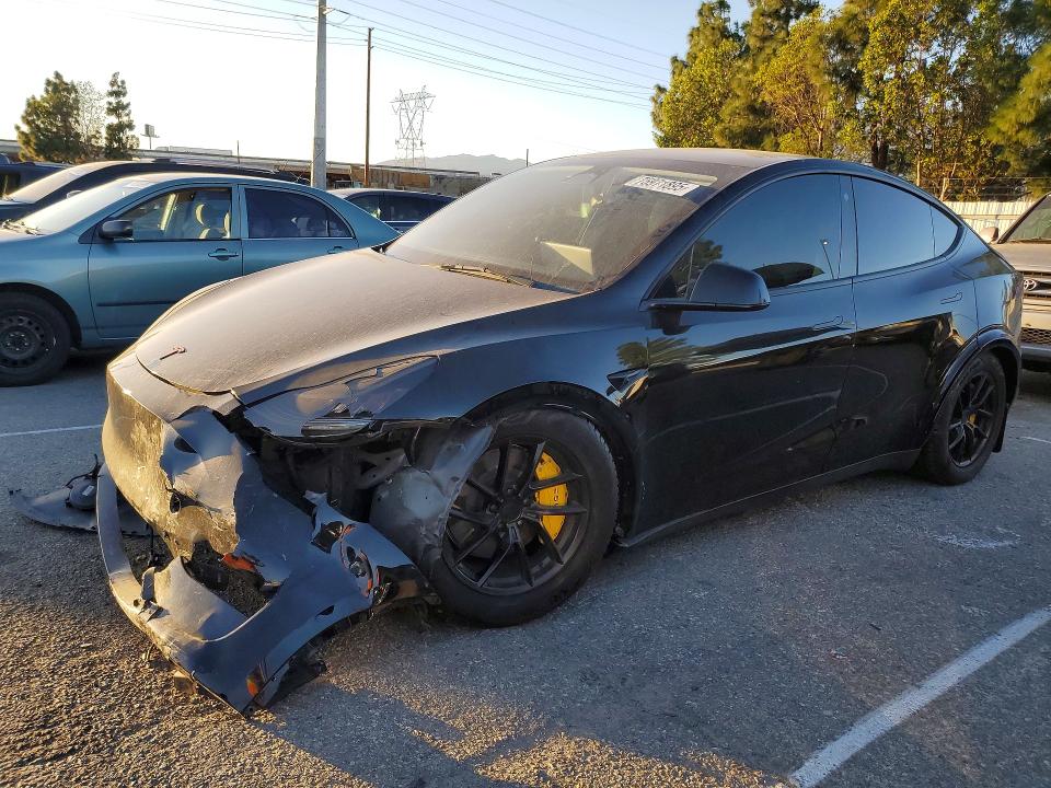 2023 TESLA MODEL Y — VIN 7SAYGDEE6PA116633