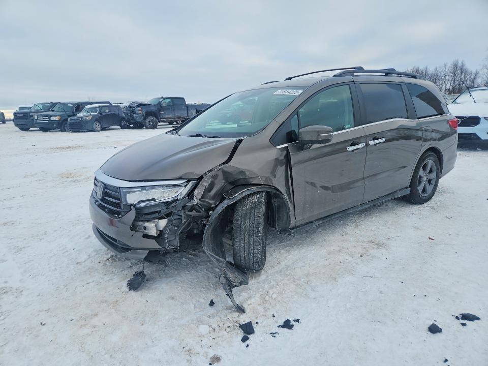 2022 HONDA ODYSSEY — VIN 5FNRL6H56NB019968