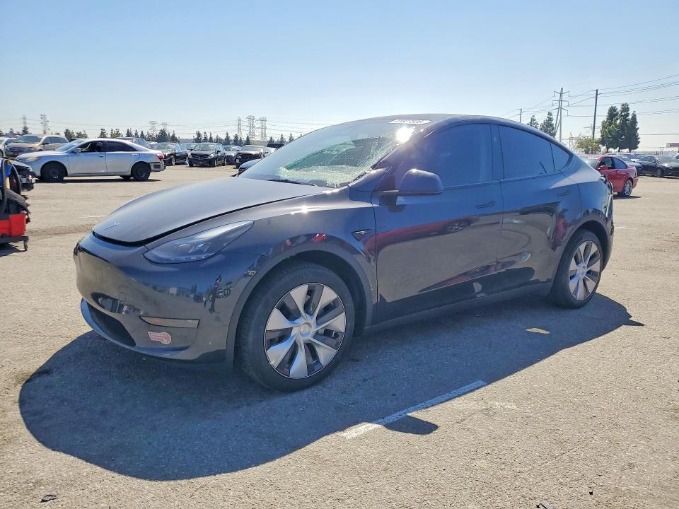 2024 TESLA MODEL Y — VIN 7SAYGDED9RF054299