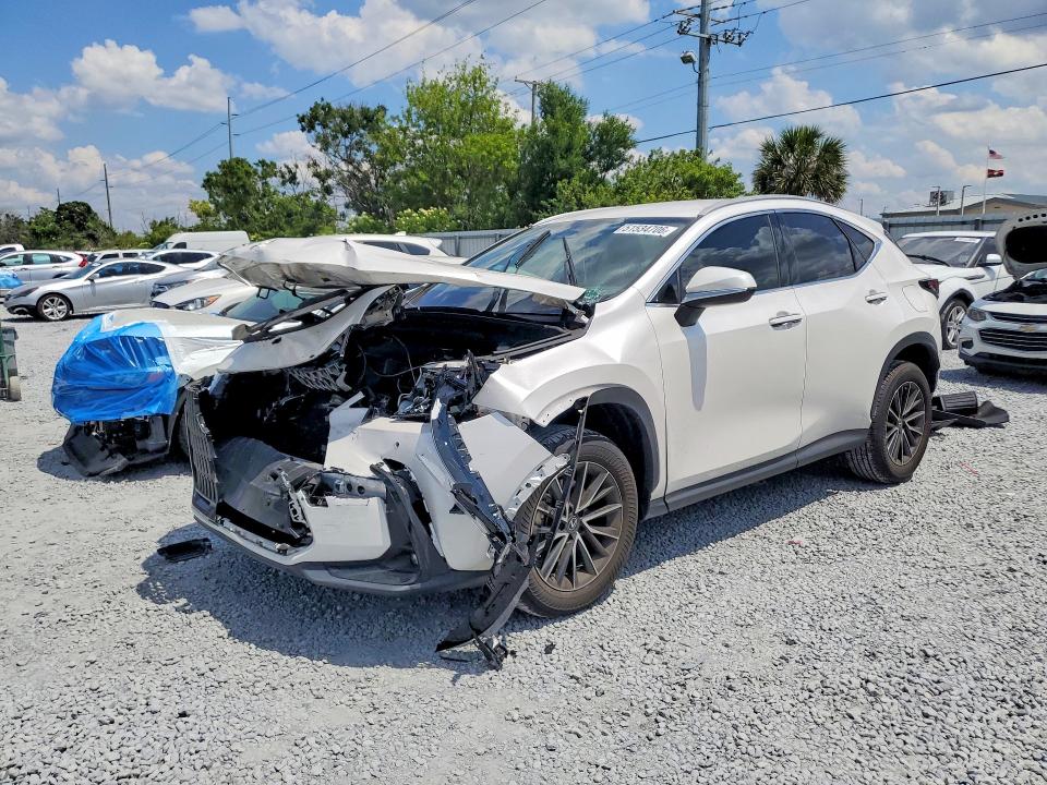 2025 LEXUS NX 250 — VIN 2T2ADCAZ7SC018913