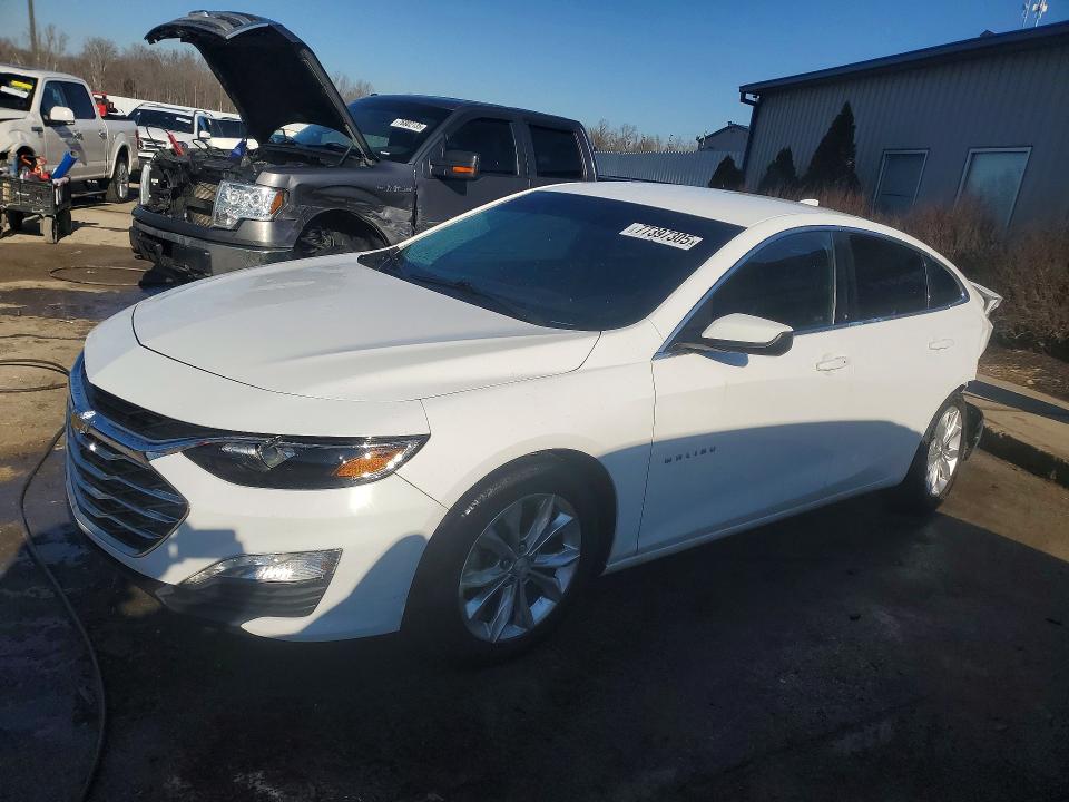 2019 CHEVROLET MALIBU — VIN 1G1ZD5STXKF160590