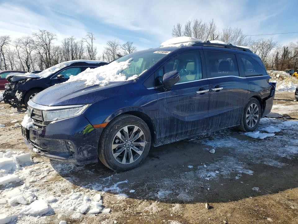 2024 HONDA ODYSSEY — VIN 5FNRL6H69RB006646