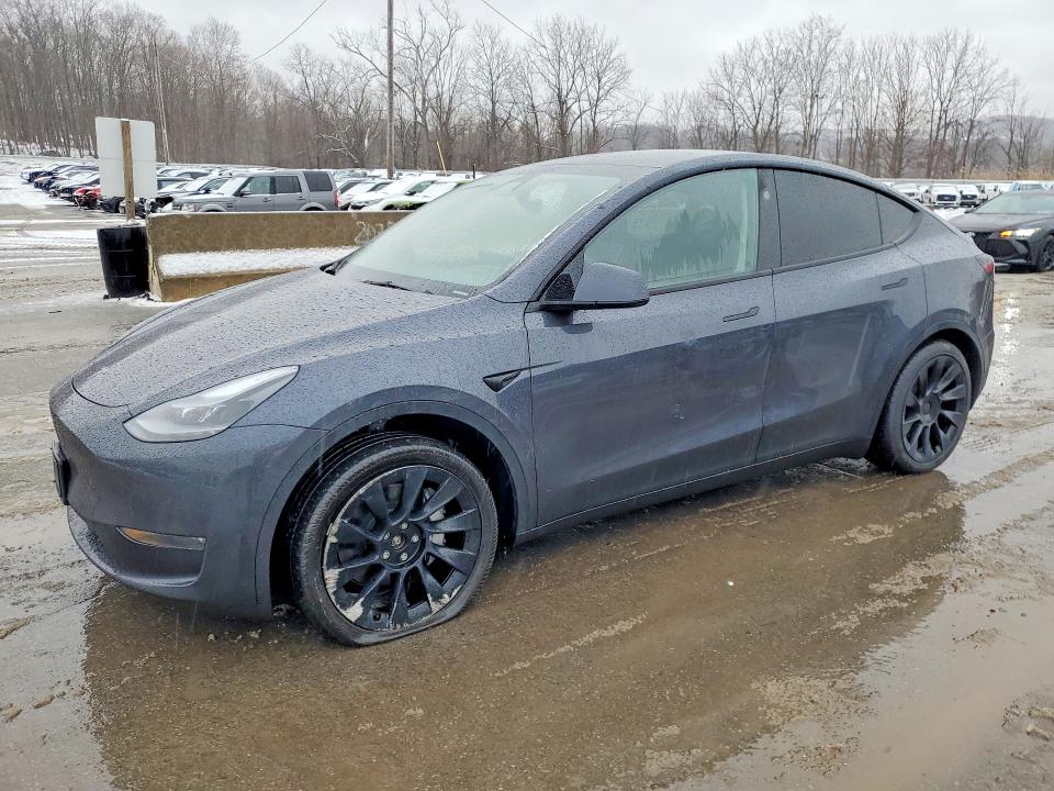 2024 TESLA MODEL Y — VIN 7SAYGDEE7RA248495