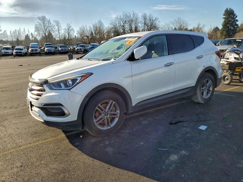 2017 HYUNDAI SANTA FE S — VIN 5NMZTDLB5HH000638
