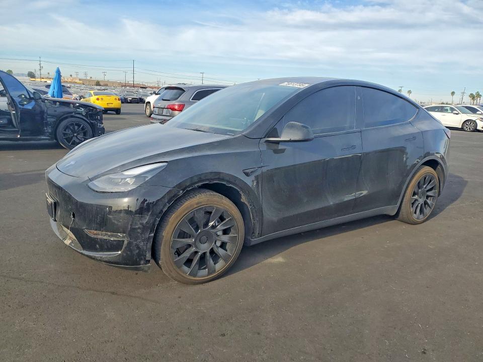 2025 TESLA MODEL Y — VIN 7SAYGDEEXSF305846
