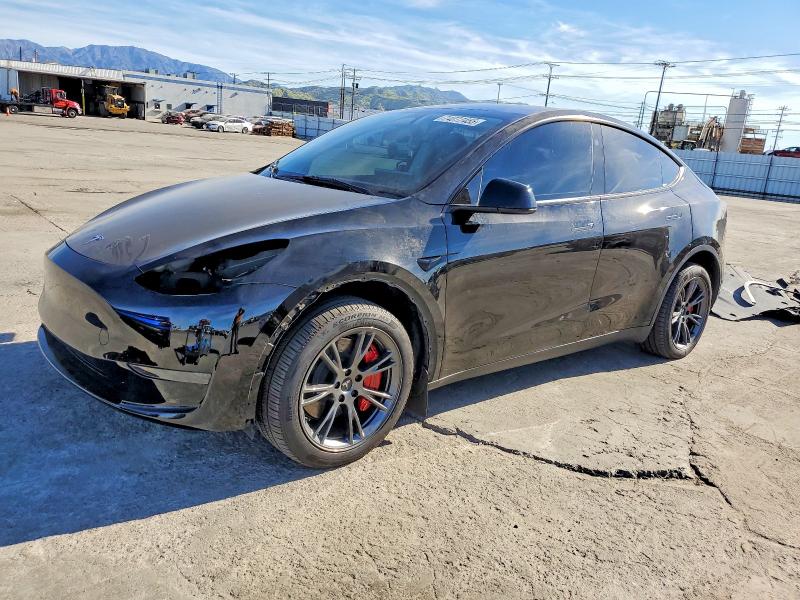 2025 TESLA MODEL Y — VIN 7SAYGDED7SF226674