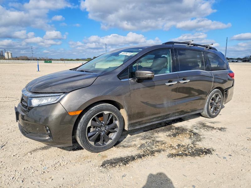 2021 HONDA ODYSSEY EL — VIN 5FNRL6H96MB001603