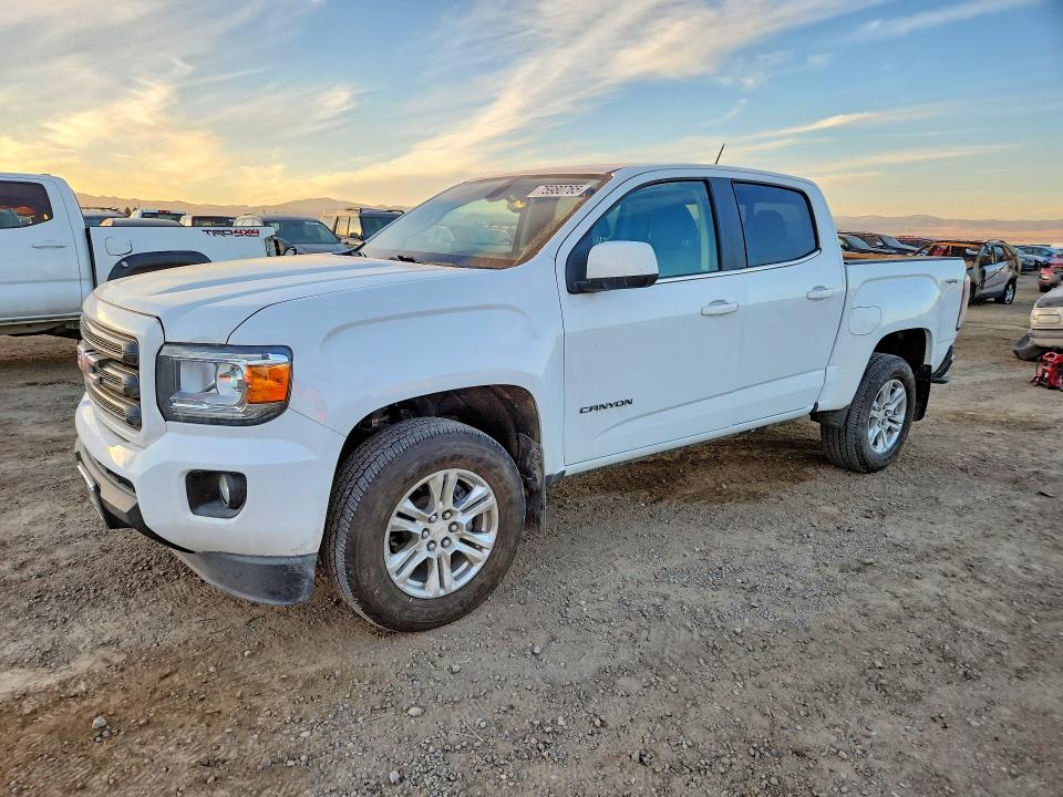 2019 GMC CANYON — VIN 1GTG6CENXK1142761