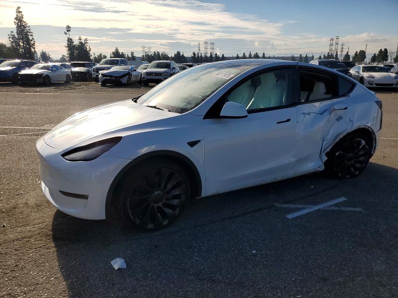 2024 TESLA MODEL Y — VIN 7SAYGDEF3RF166579
