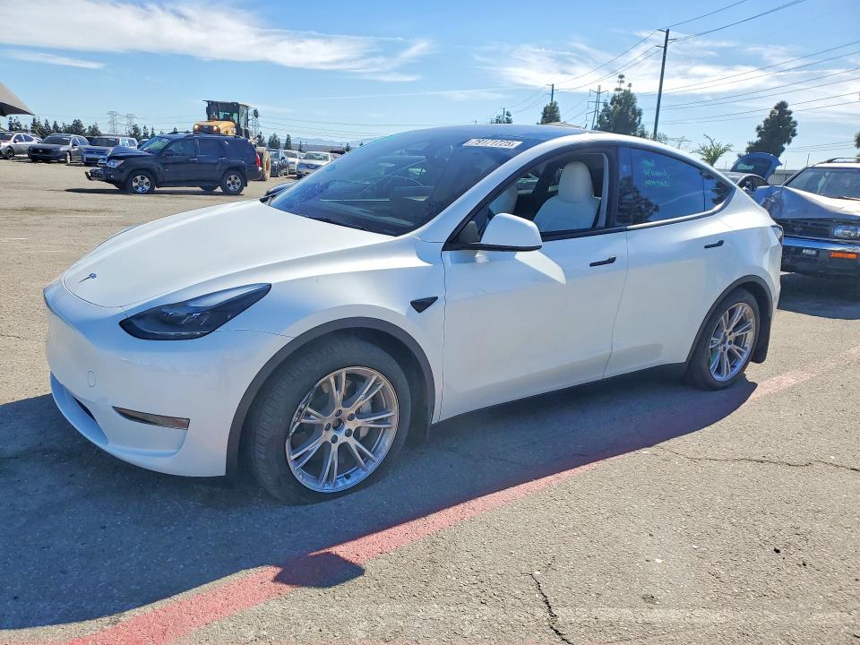 2024 TESLA MODEL Y — VIN 7SAYGDEE7RA247993