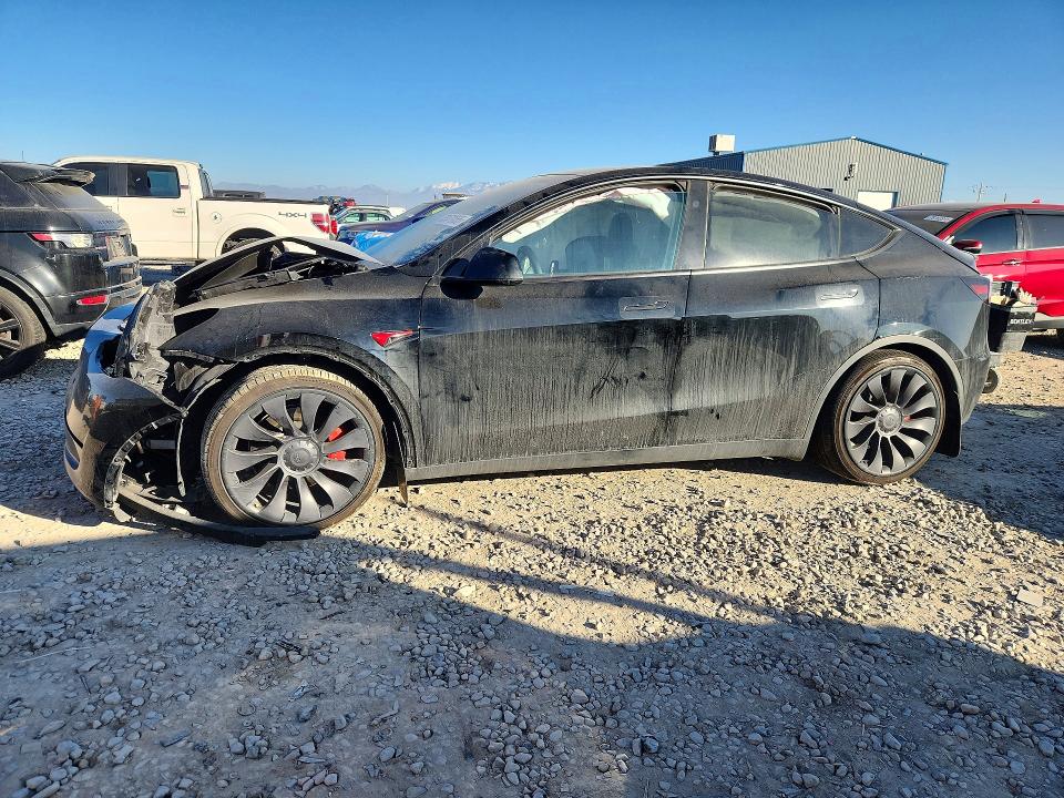 2023 TESLA MODEL Y — VIN 7SAYGDEFXPF895157