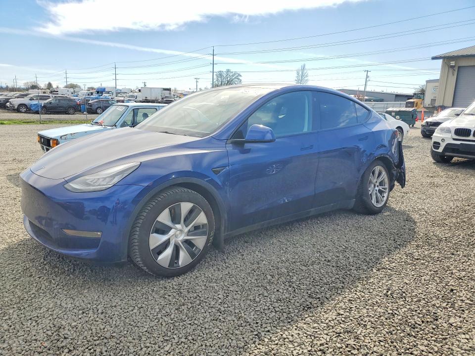 2021 TESLA MODEL Y — VIN 5YJYGDEE0MF114923