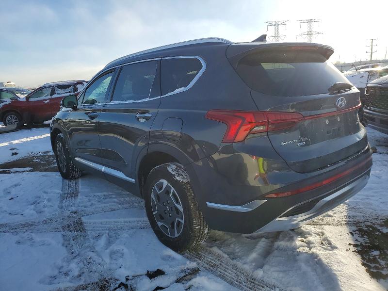 2023 HYUNDAI SANTA FE — VIN 5NMS2DA1XPH017982