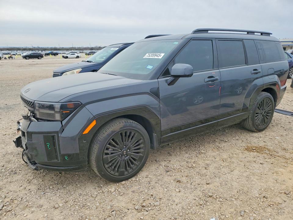 2025 HYUNDAI SANTA FE — VIN 5NMP54G18SH051514