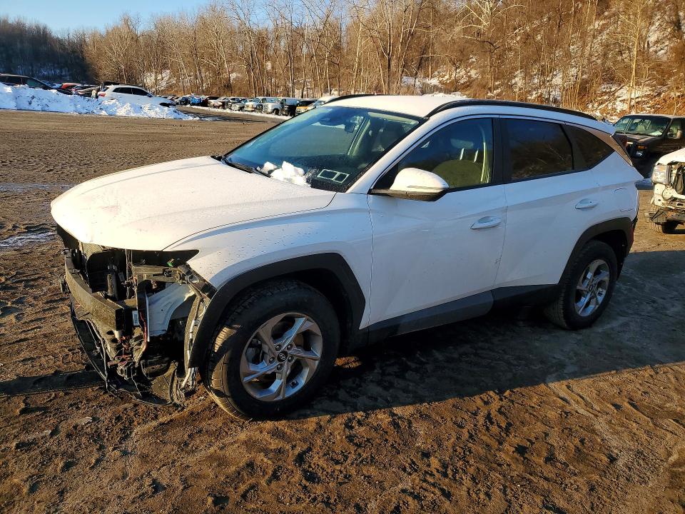 2023 HYUNDAI TUCSON — VIN 5NMJBCAE6PH182453