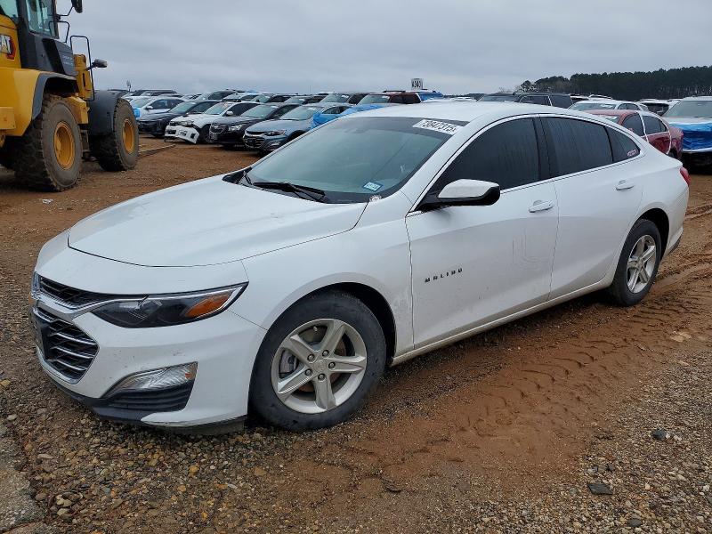 2024 CHEVROLET MALIBU — VIN 1G1ZB5ST7RF247539