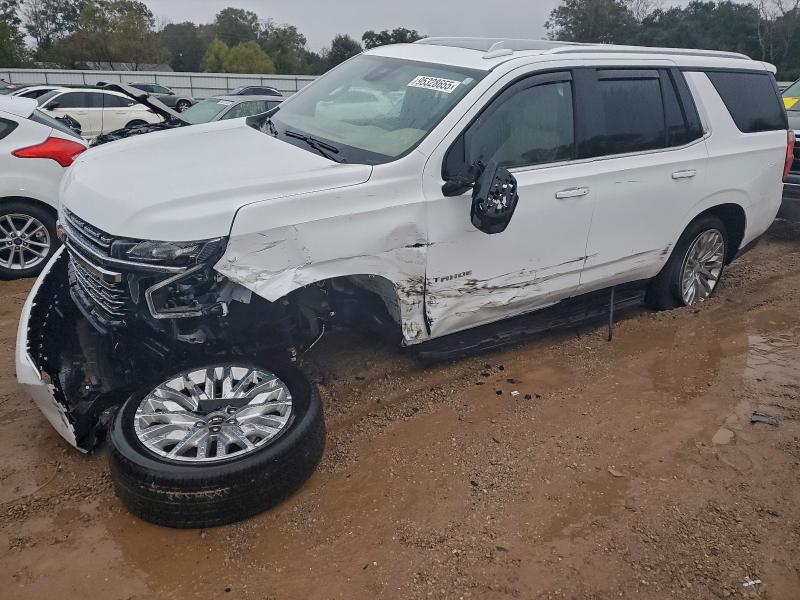2024 CHEVROLET TAHOE C150 — VIN 1GNSCSKD8RR171302