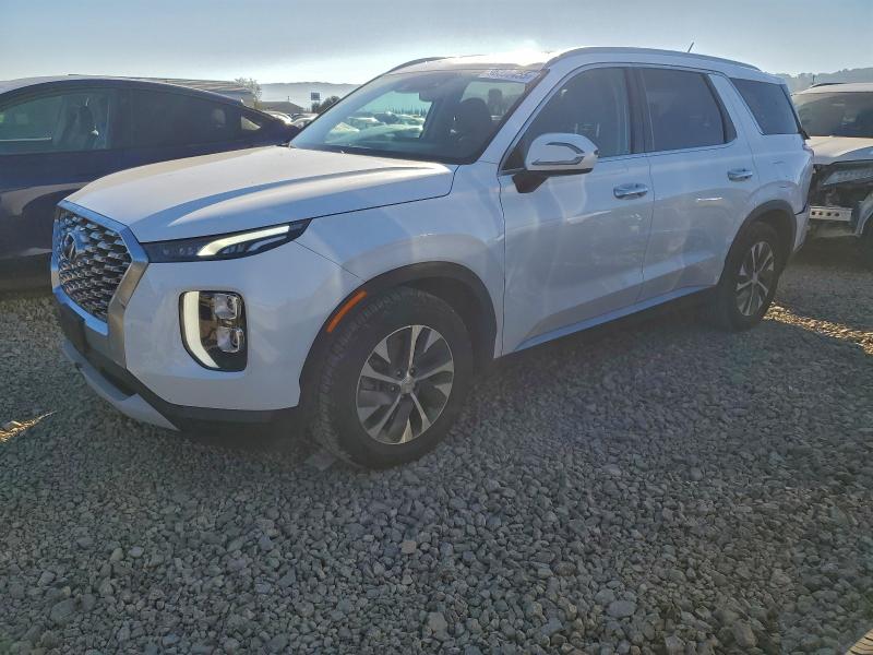2020 HYUNDAI PALISADE S — VIN KM8R24HE8LU088295