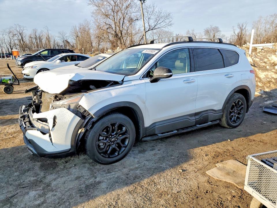 2022 HYUNDAI SANTA FE — VIN 5NMS64AJ1NH409508