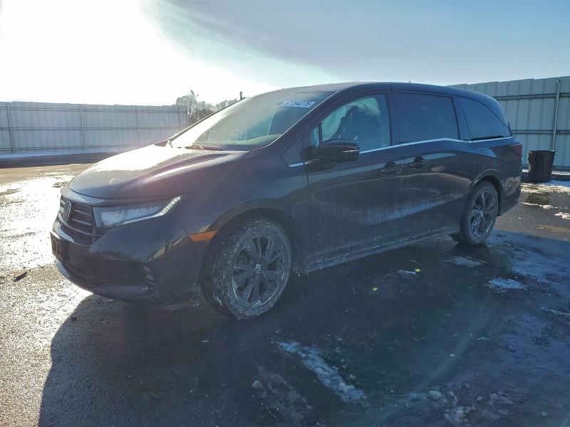 2023 HONDA ODYSSEY — VIN 5FNRL6H77PB047895