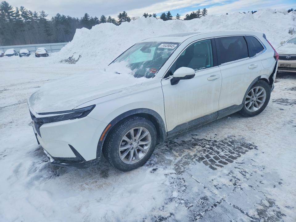 2023 HONDA CR-V — VIN 2HKRS4H48PH407142