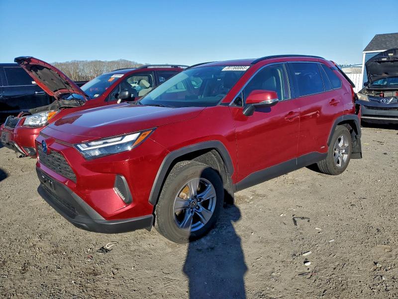 2024 TOYOTA RAV4 — VIN JTMRWRFV7RD230458