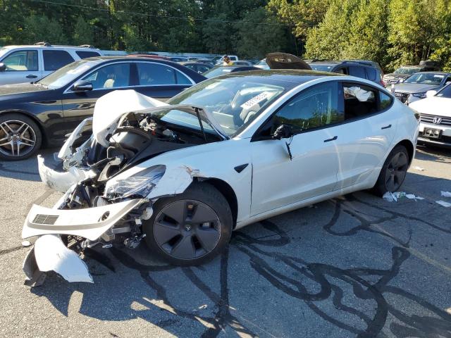2023 TESLA MODEL 3 — VIN 5YJ3E1EA1PF473407