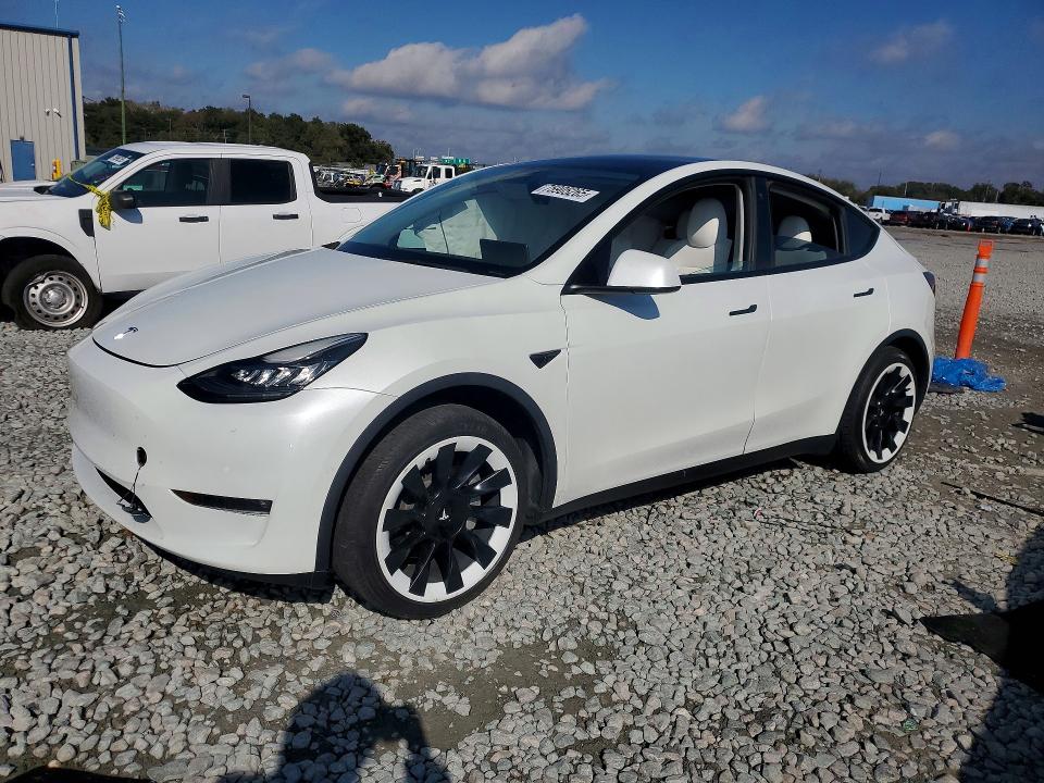 2022 TESLA MODEL Y — VIN 7SAYGDEE5NF354733