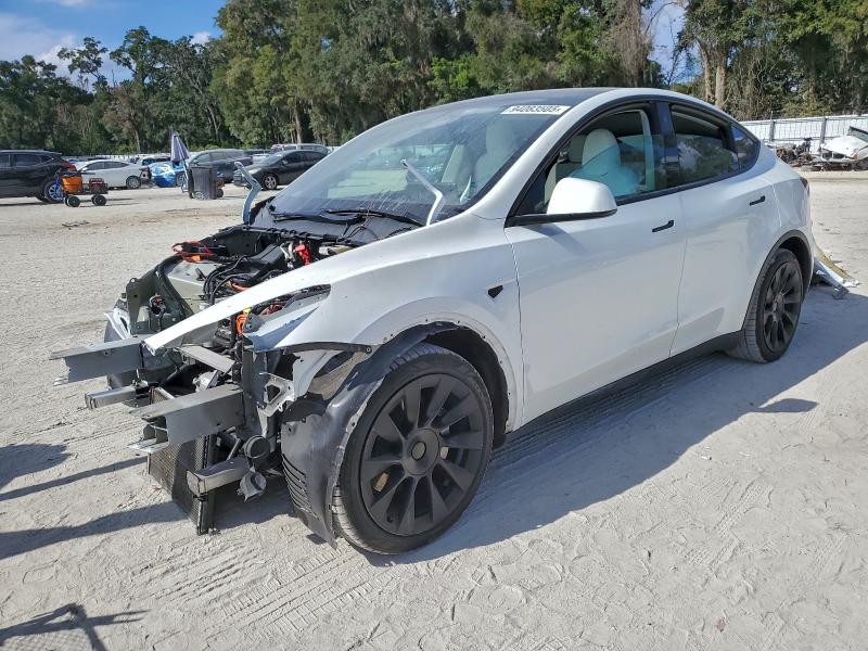 2023 TESLA MODEL Y — VIN 7SAYGAEE8PF697036