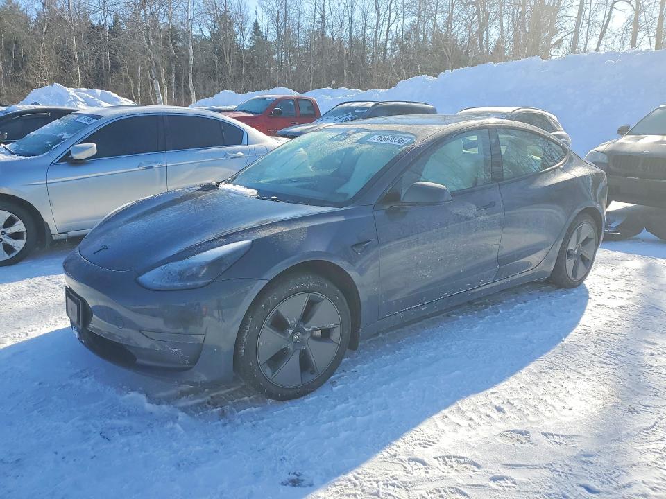 2023 TESLA MODEL 3 — VIN 5YJ3E1EA8PF559135
