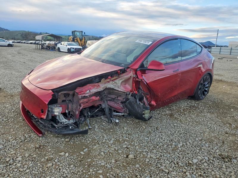 2024 TESLA MODEL Y — VIN 7SAYGDEF2RF024417