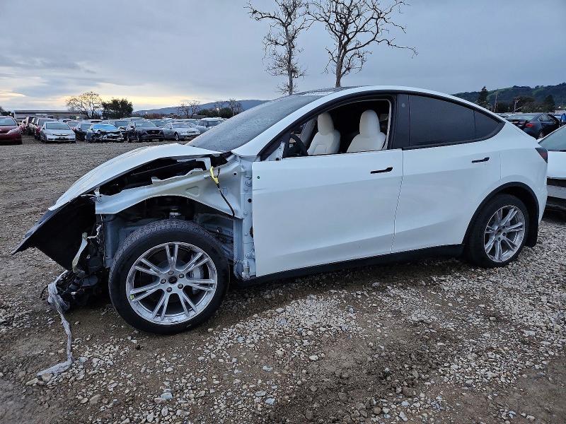 2023 TESLA MODEL Y — VIN 7SAYGDEE0PF739863