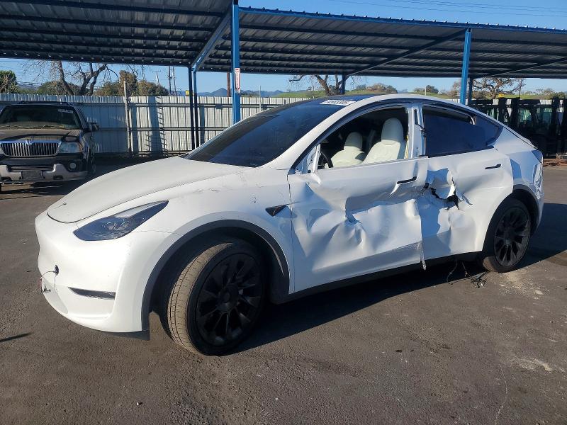 2023 TESLA MODEL Y — VIN 7SAYGDEE8PF906289