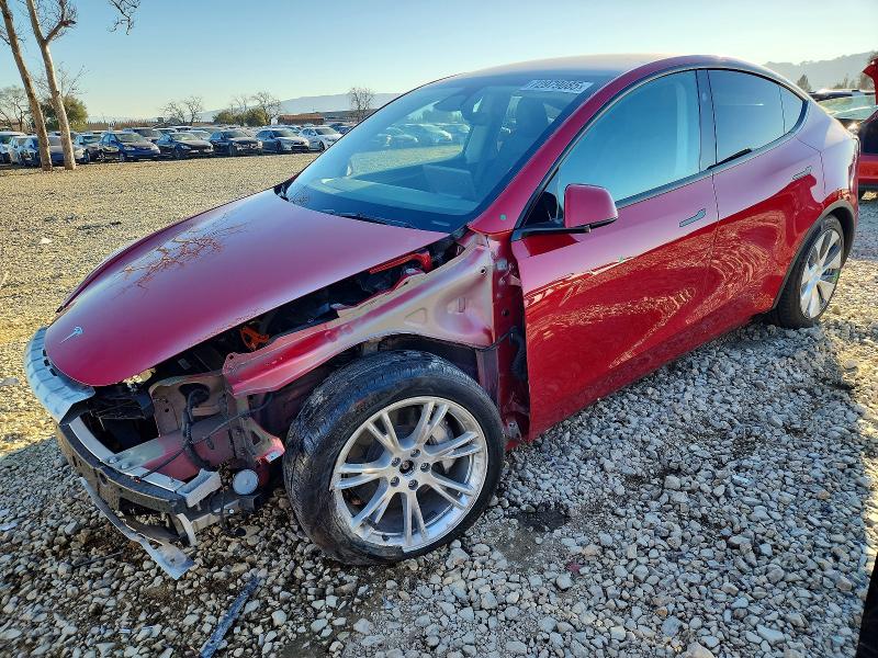 2023 TESLA MODEL Y — VIN 7SAYGDEE3PF935358