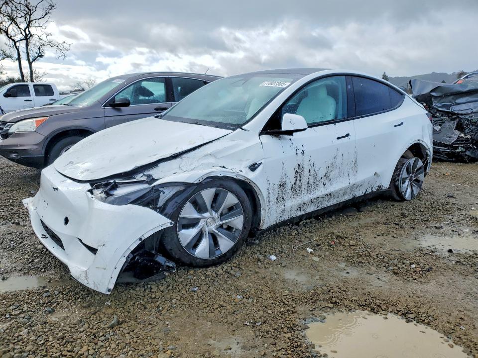 2024 TESLA MODEL Y — VIN 7SAYGDEE4RF056471