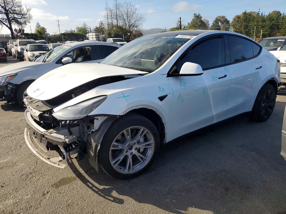 2023 TESLA MODEL Y — VIN 7SAYGAEE4PF716245