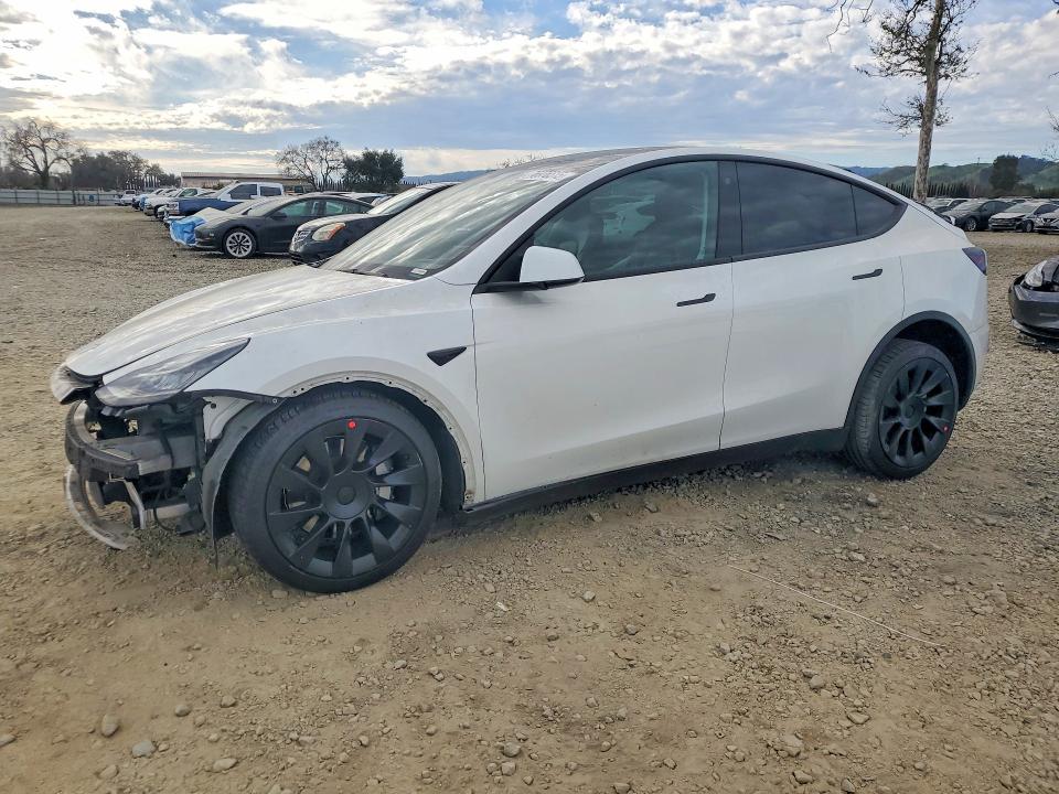 2022 TESLA MODEL Y — VIN 7SAYGDEE8NF388214