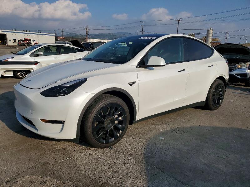 2024 TESLA MODEL Y — VIN 7SAYGAEE0RF063822