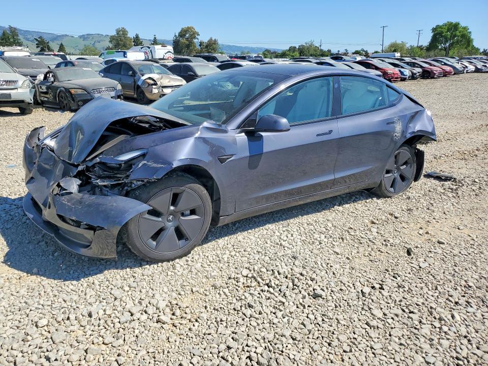 2023 TESLA MODEL 3 — VIN 5YJ3E1EA8PF619902