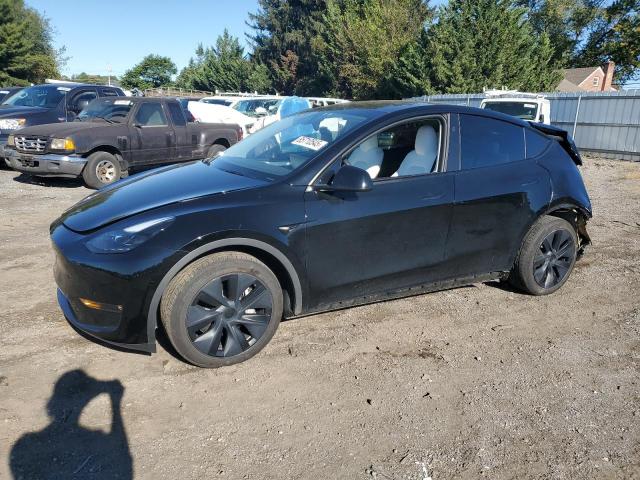 2024 TESLA MODEL Y — VIN 7SAYGDEE6RF149735