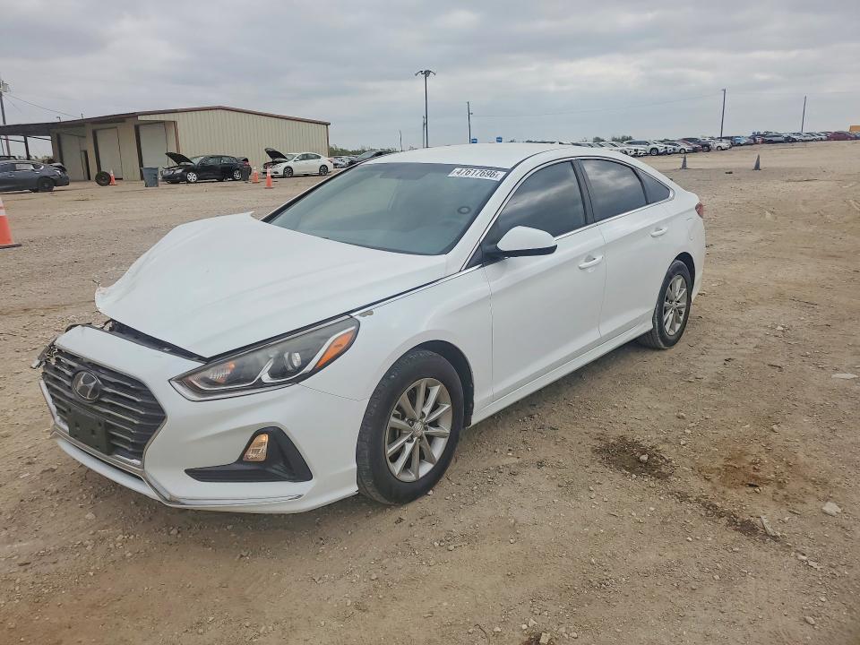 2019 HYUNDAI SONATA — VIN 5NPE24AF1KH810446